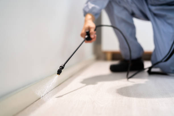 Licensed Pest Control service in Burgin, KY - Show Me Pest Control