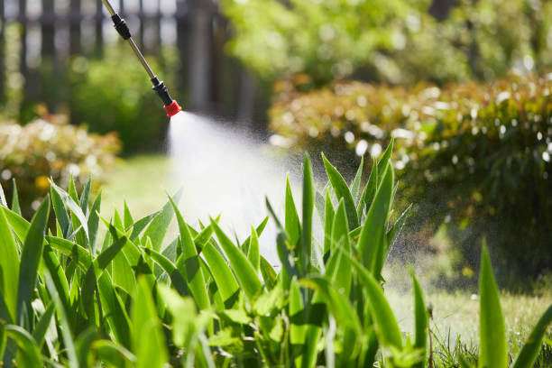 24/7 Emergency Wasp Removal experts in Burgin, KY