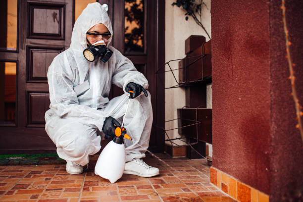 Reliable Wasp Removal contractor in Burgin, KY by Show Me Pest Control