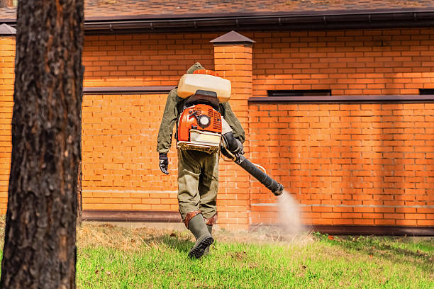 Top rated local Wasp Removal specialists in Burgin, KY